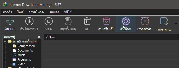 หน้าต่างตั้งค่า IDM แท็บ Connection แสดงช่อง Connection Type และช่อง Max connections number สำหรับปรับจำนวนการเชื่อมต่อ